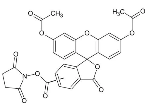 CAS:150347-59-4|5(6)-CFDA N-succinimidylester