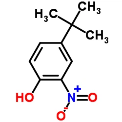 CAS:3279-07-0|4-tert-butyl-2-nitrofenol